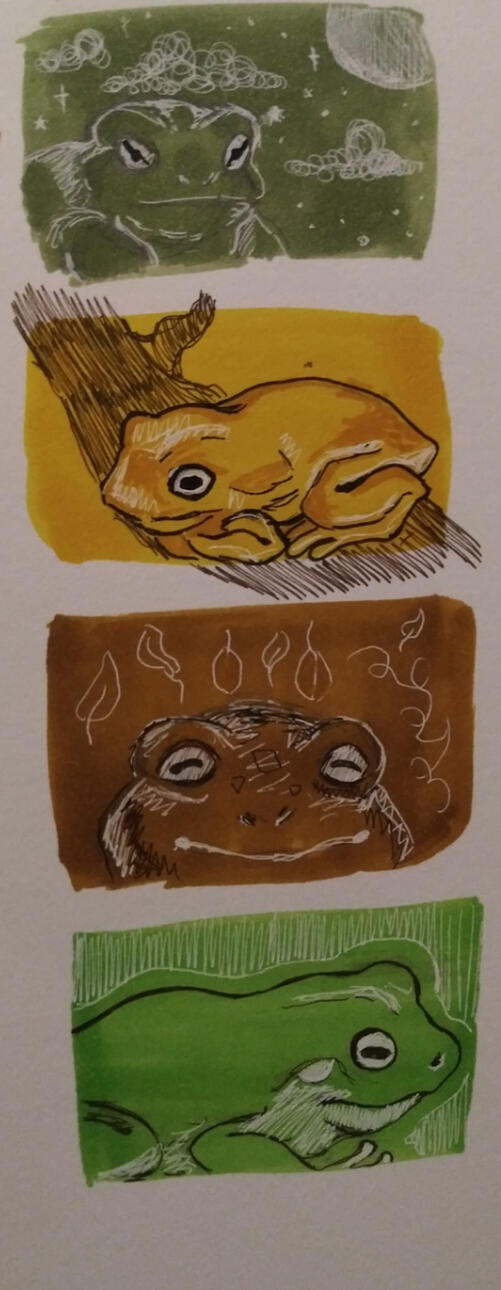 Frogs on color blocks, alcohol markers